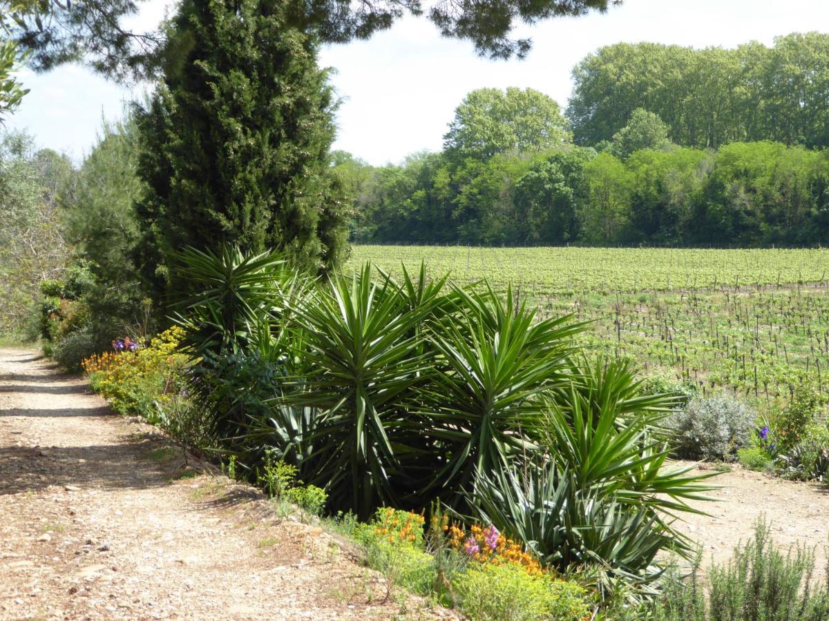 Domaine De L'Herbe Sainte Mirepeisset Exteriér fotografie