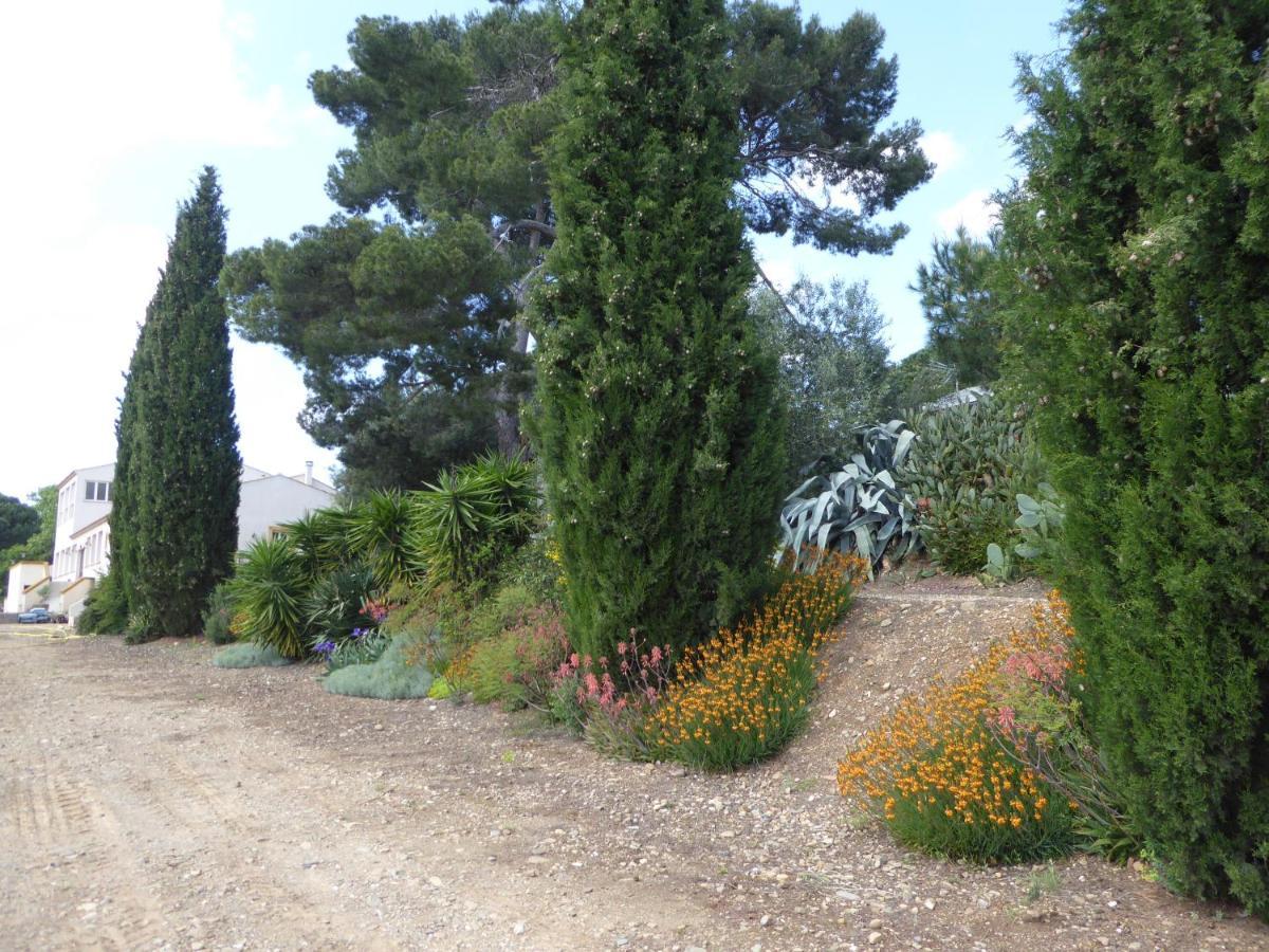 Domaine De L'Herbe Sainte Mirepeisset Exteriér fotografie