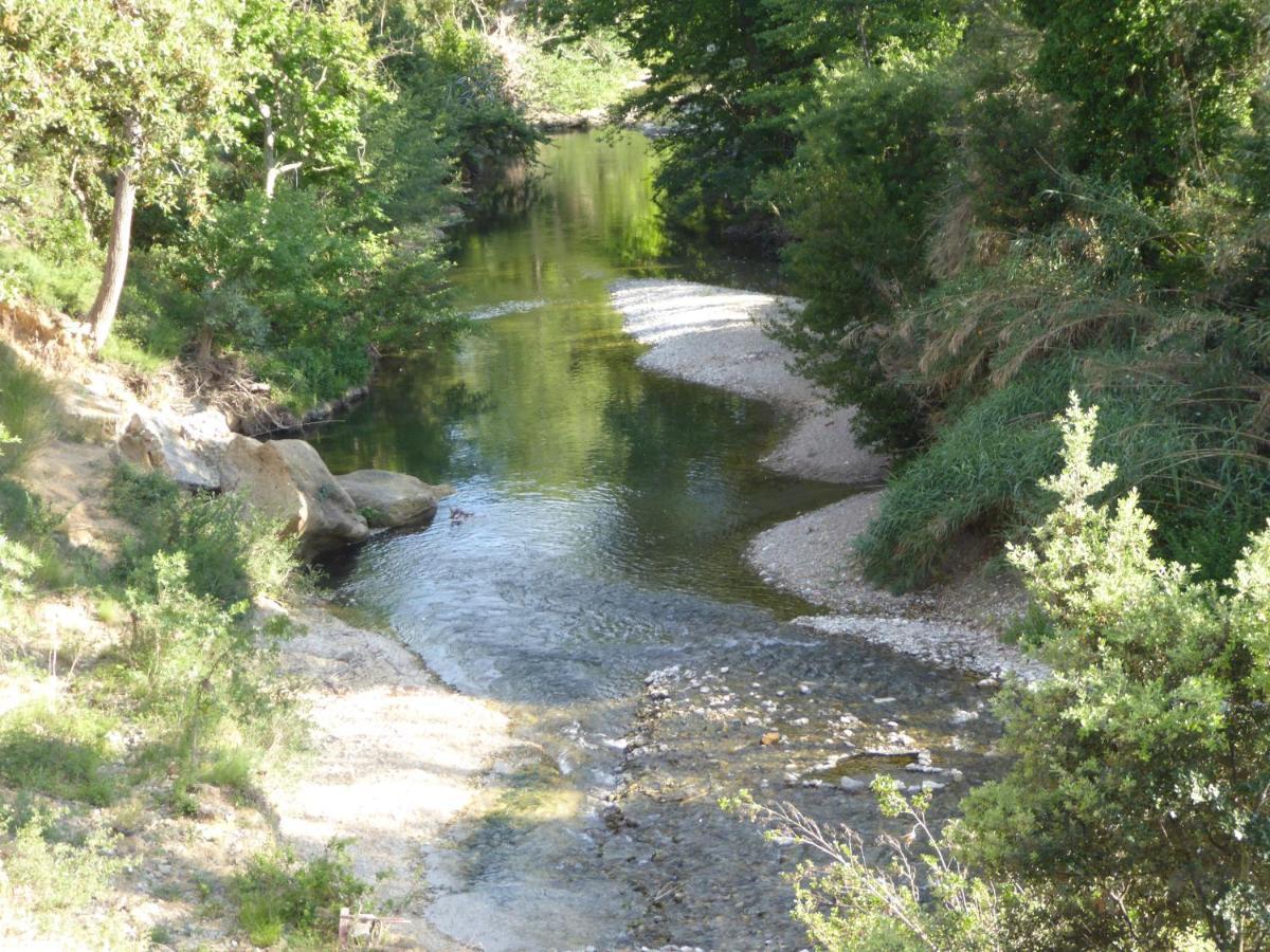 Domaine De L'Herbe Sainte Mirepeisset Exteriér fotografie