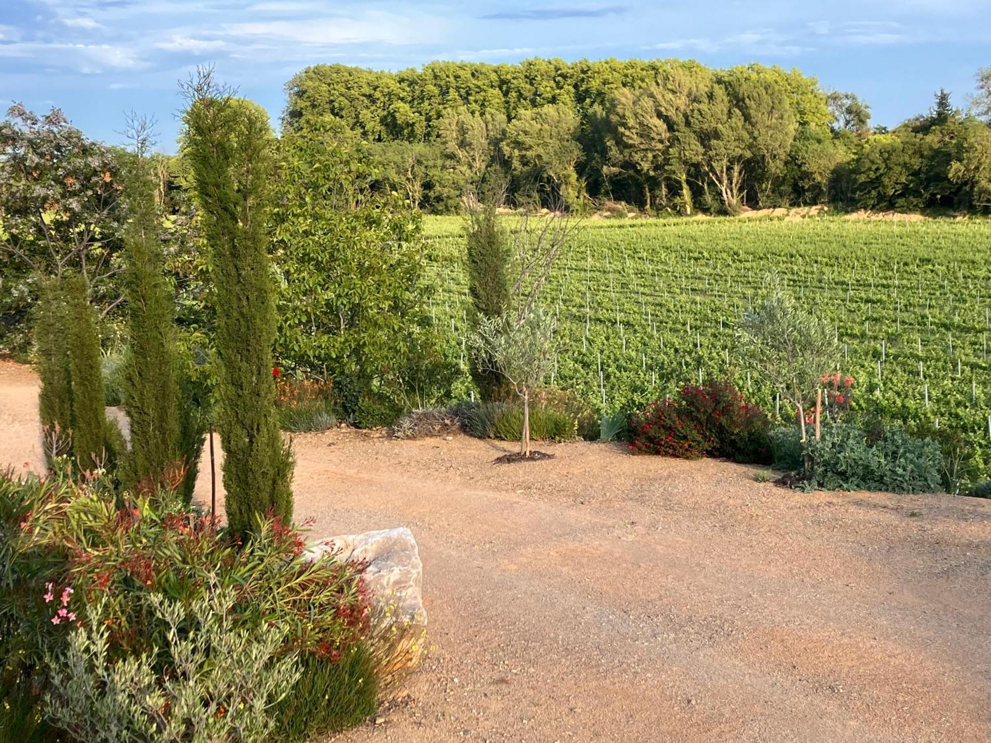 Domaine De L'Herbe Sainte Mirepeisset Exteriér fotografie