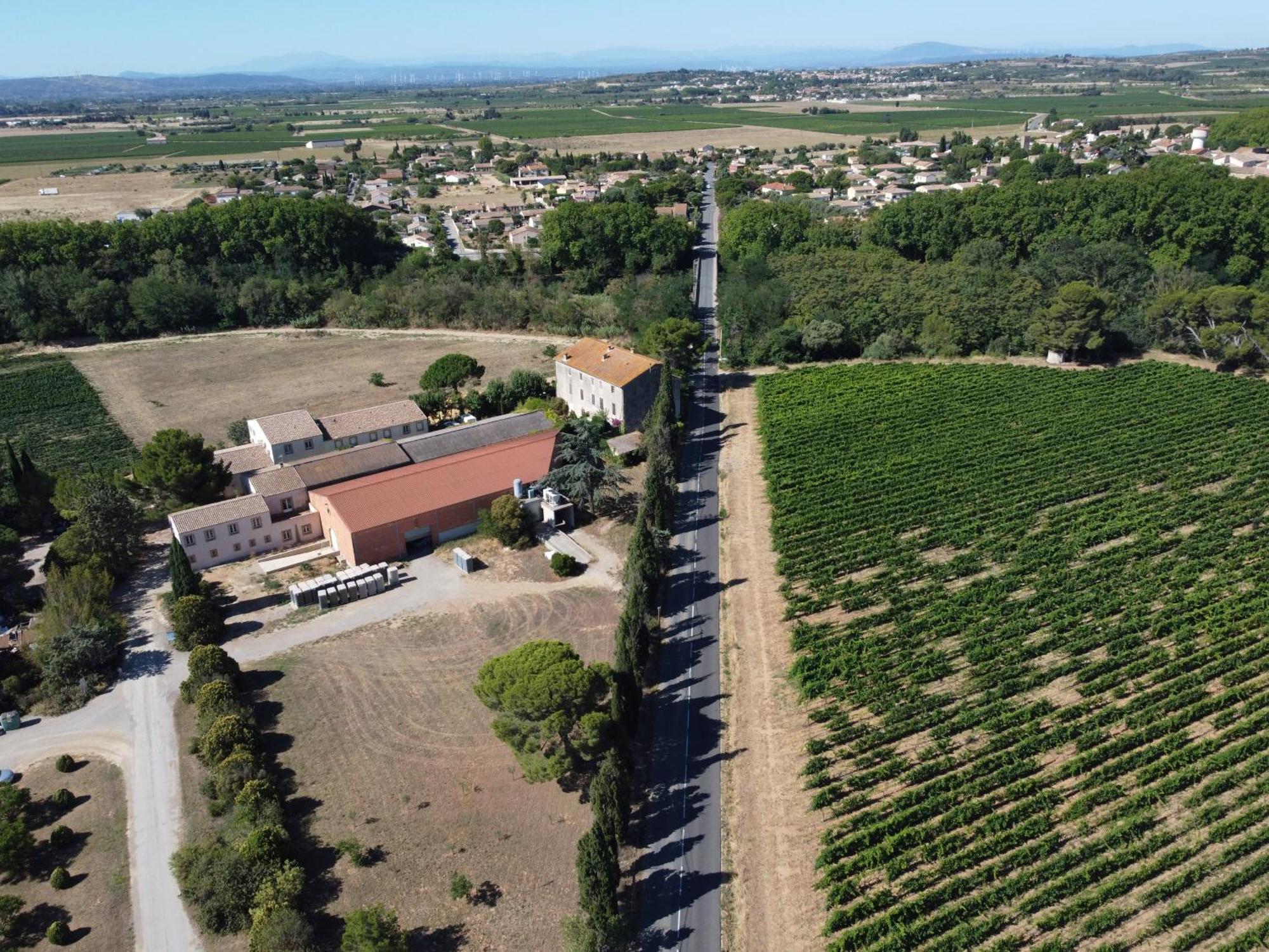 Domaine De L'Herbe Sainte Mirepeisset Exteriér fotografie