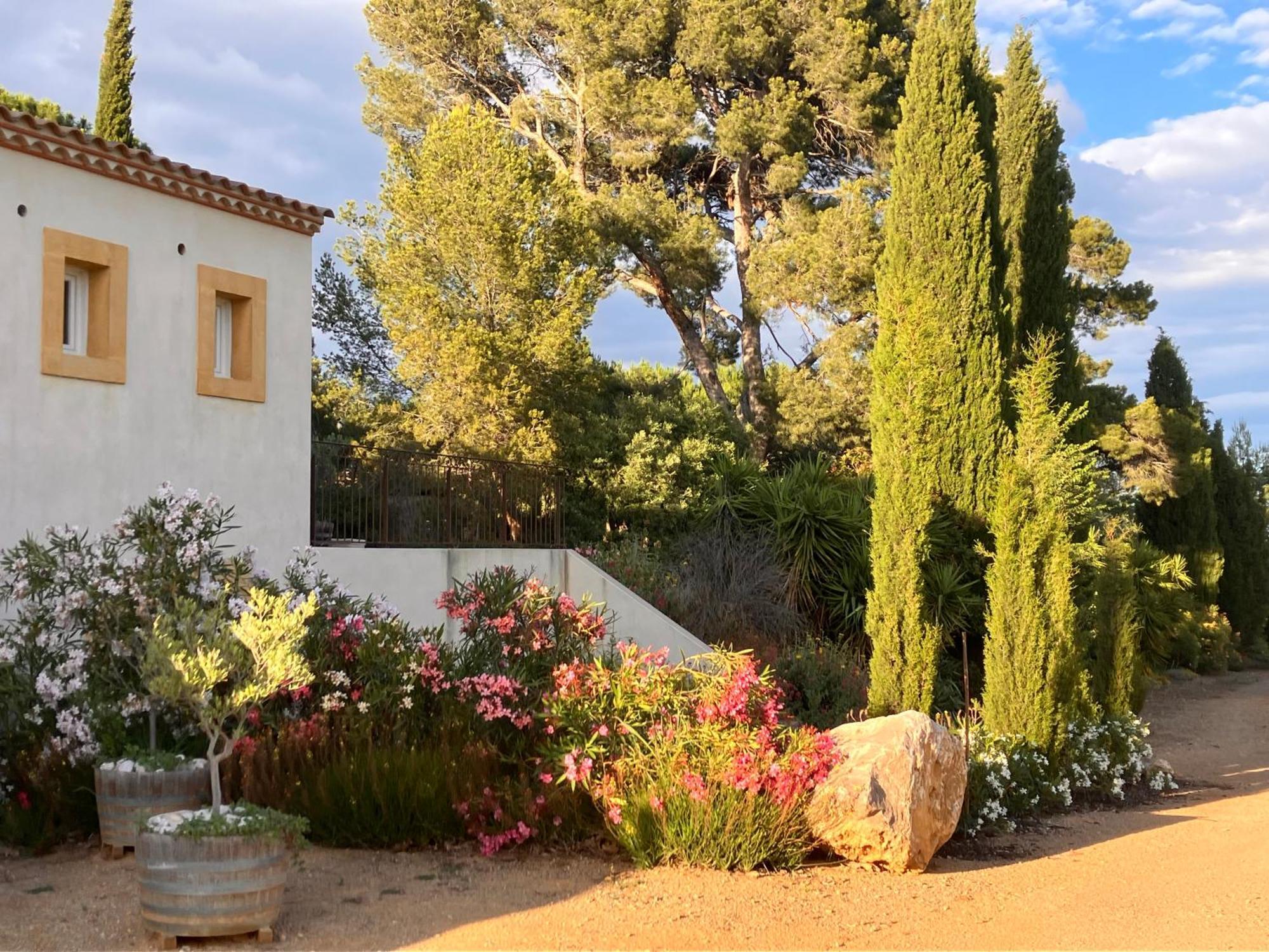 Domaine De L'Herbe Sainte Mirepeisset Exteriér fotografie