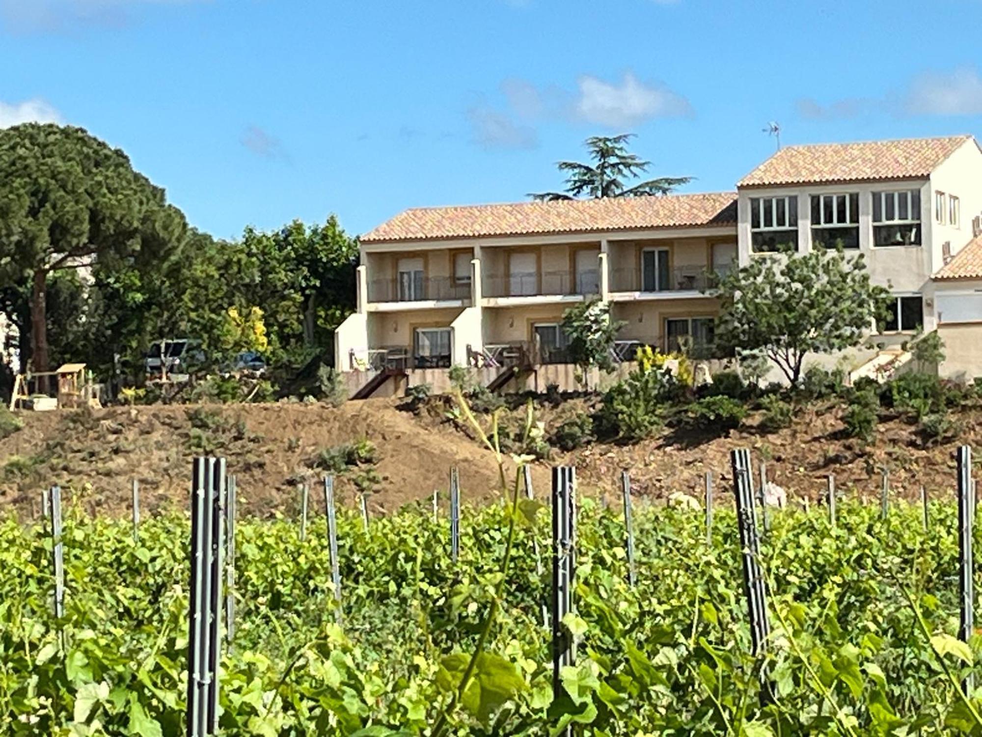 Domaine De L'Herbe Sainte Mirepeisset Exteriér fotografie